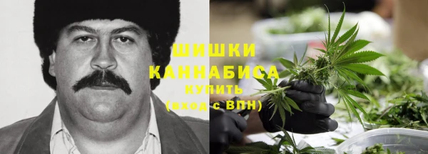 PSILOCYBIN Волосово