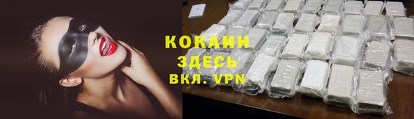 PSILOCYBIN Волосово