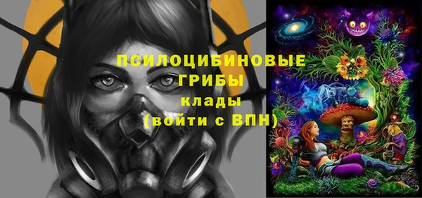сатива Володарск
