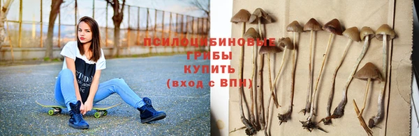 сатива Володарск