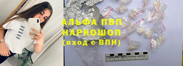 сатива Володарск