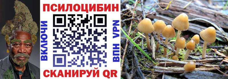 Купить закладки  Минеральные Воды  Псилоцибиновые грибы GOLDEN TEACHER 